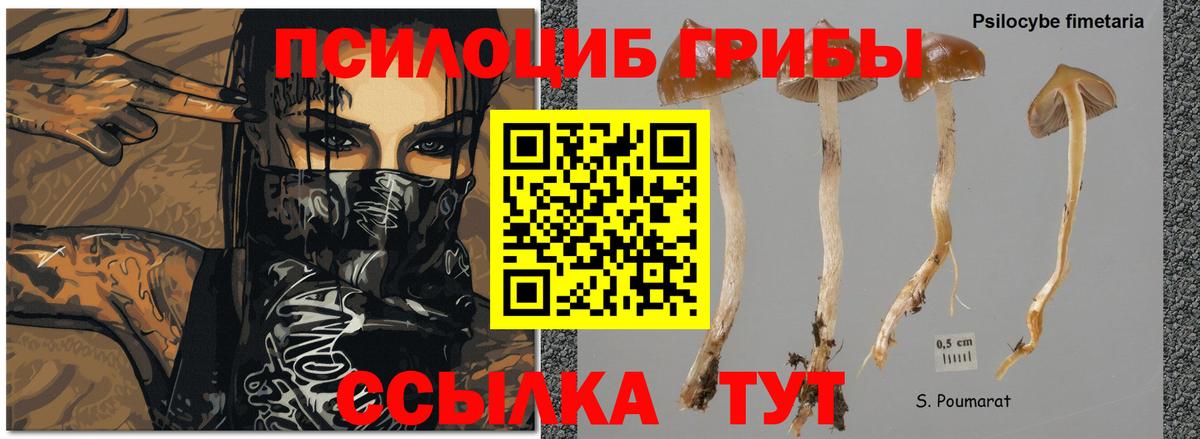 Псилоцибиновые грибы Magic Shrooms Троицк