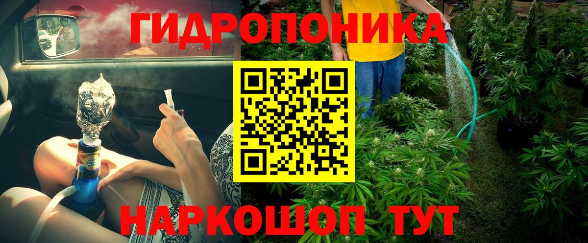 Каннабис план Троицк